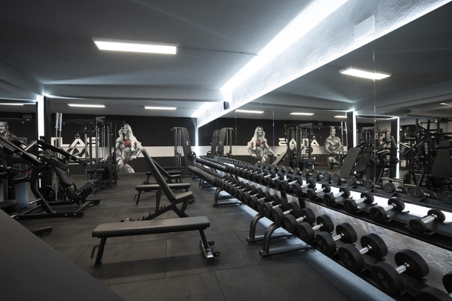 Entrenador Personal