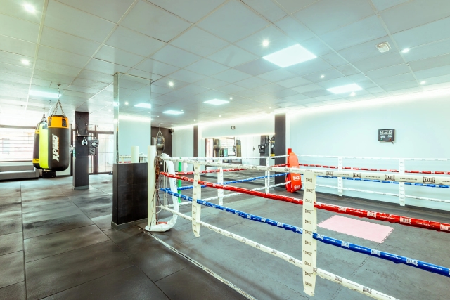 Ring de boxeo de Atlas Fighters