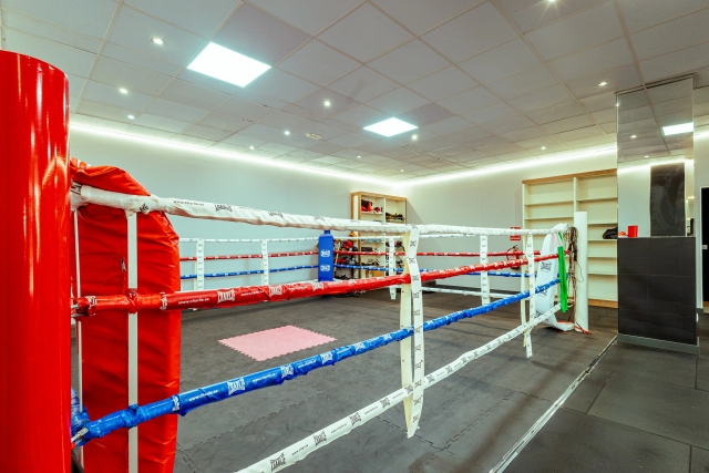 Esquina roja y cuerdas del ring