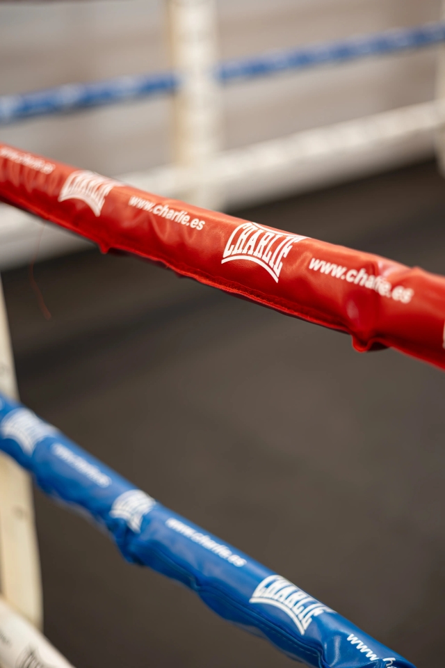 Cuerdas rojas del ring