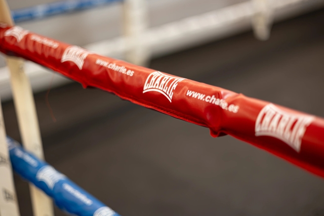 Detalle de las cuerdas del ring
