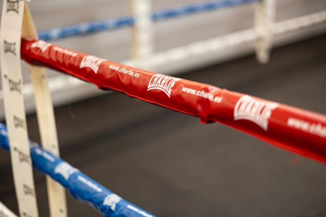 Cuerdas y esquina del ring